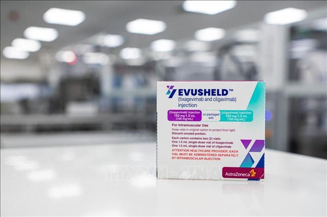 Bộ Y tế thông tin về thuốc Evusheld