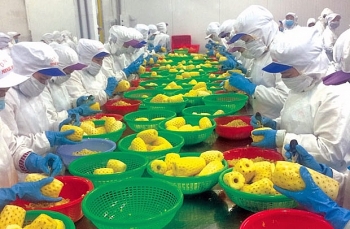 Đẩy mạnh cơ hội hợp tác “Kinh doanh nông nghiệp Việt Nam - EU”