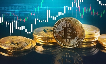 Giá Bitcoin trở lại mốc 50.000 USD/đồng