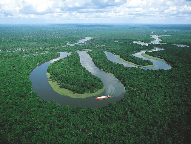 Những bức ảnh của rừng Amazon thổi hồn vào tâm trí bạn