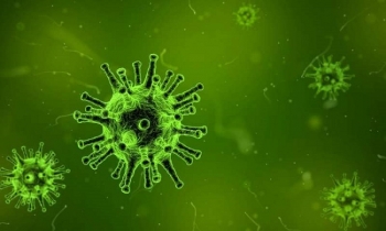 Tìm thấy protein "khắc tinh" của nhiều loại virus