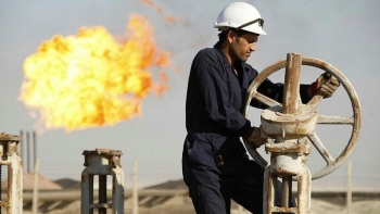 Giá xăng dầu hôm nay 17/11: Giá dầu thô giảm mạnh
