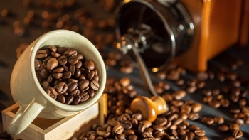Giá cà phê hôm nay 2/1: Thấp hơn so với cùng kỳ 2022 khoảng 2.000 đồng/kg