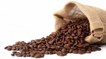 Giá cà phê hôm nay 3/1: Giảm ở các vùng trồng trọng điểm