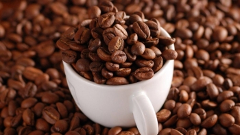 Giá cà phê hôm nay 16/1: Thị trường trong nước đạt mốc 41.000 đồng/kg