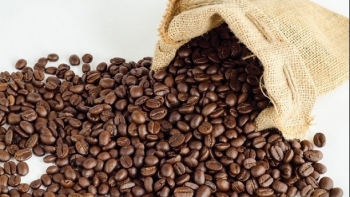 Giá cà phê hôm nay 31/1: Thị trường thế giới điều chỉnh giảm trong ngắn hạn