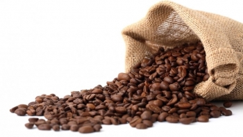 Giá cà phê hôm nay 2/11: Arabica giảm nhẹ