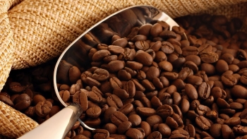 Giá cà phê hôm nay 25/11: Quay đầu giảm