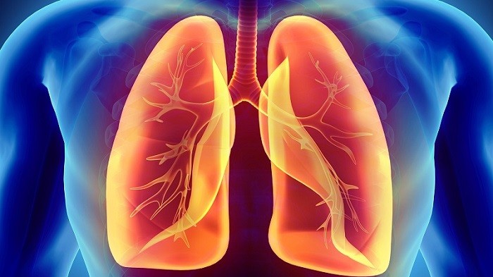 Ion âm – "Vitamin không khí" đối với sức khỏe con người