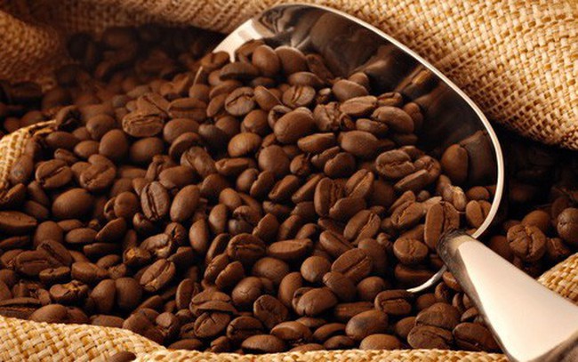 Giá cà phê hôm nay 6/12: Duy trì ổn định tại các vùng trọng điểm