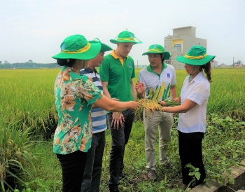 [Chùm ảnh] Phân bón Phú Mỹ được người nông dân tin dùng