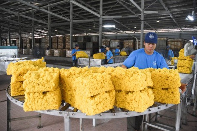 Trung Quốc tăng nhập khẩu cao su của Việt Nam